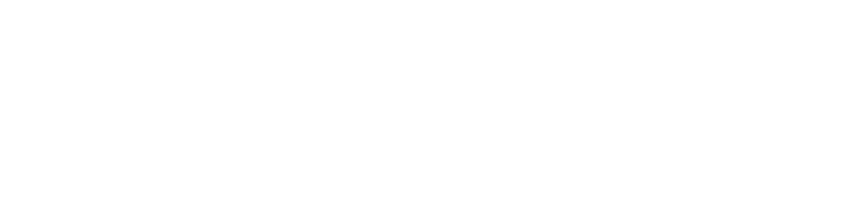 11. Houston
