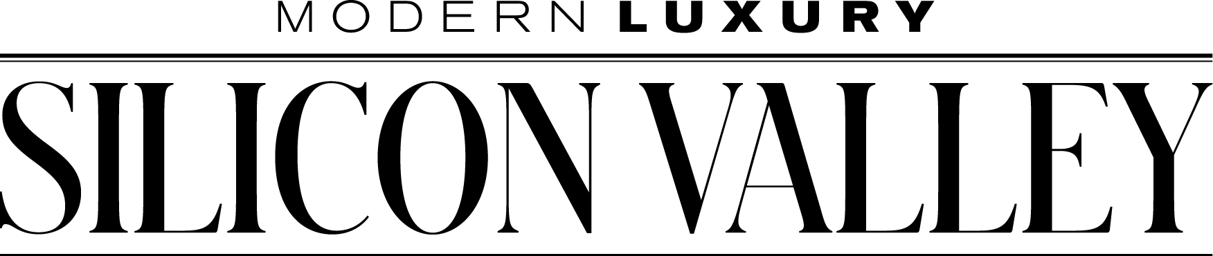 22. Silicon Valley Logo